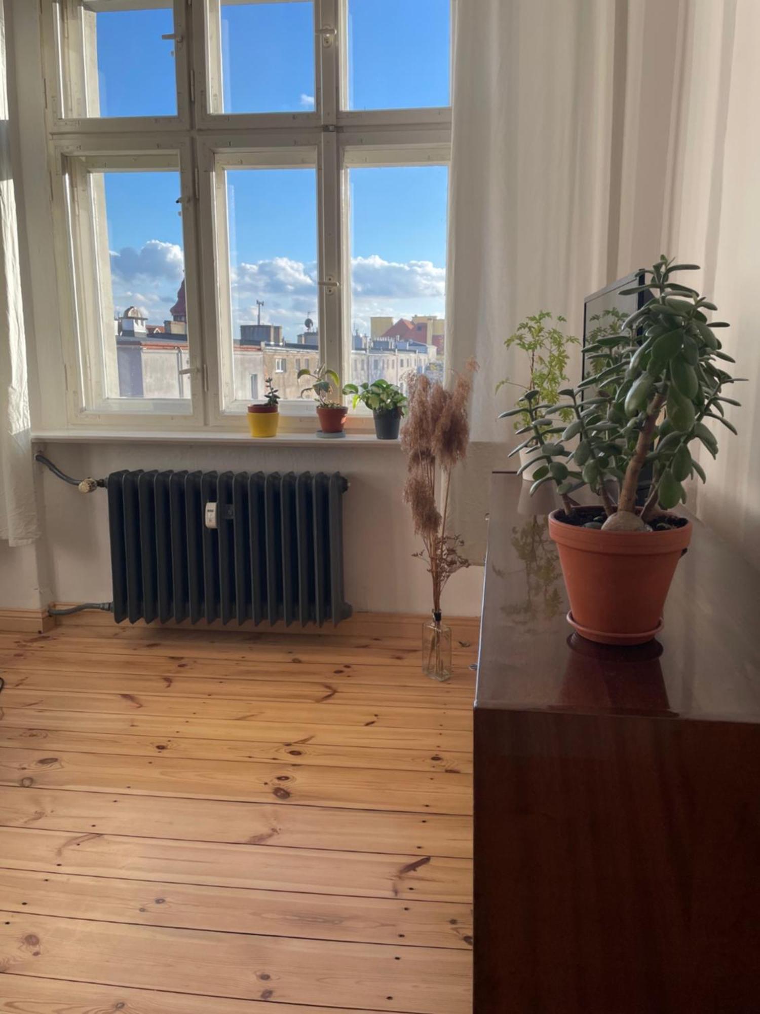 Sentymenty - Apartamenty W Kamienicy Na Mickiewicza Торунь Экстерьер фото
